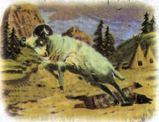 n005.jpg